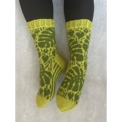 Monstera, koko 38-40