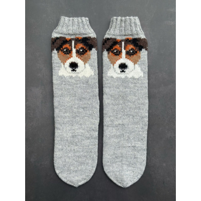 Jackrussellinterrierisukat